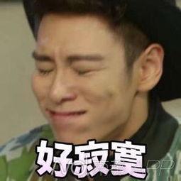 bang表情包可爱,萌动瞬间，可爱满溢